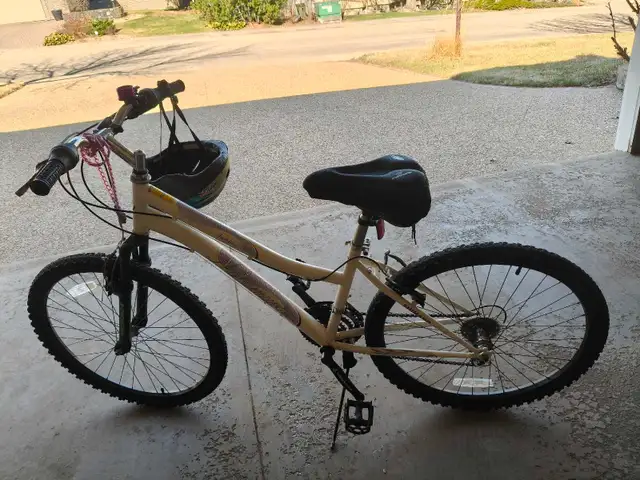 two rarely used bikes & more for $40 - Photo 2