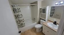 2 BEDROOM APARTMENT(1YR-LEASE) FOR RENT IN BEAUTIFUL ST-ANTOINE - Photo 9