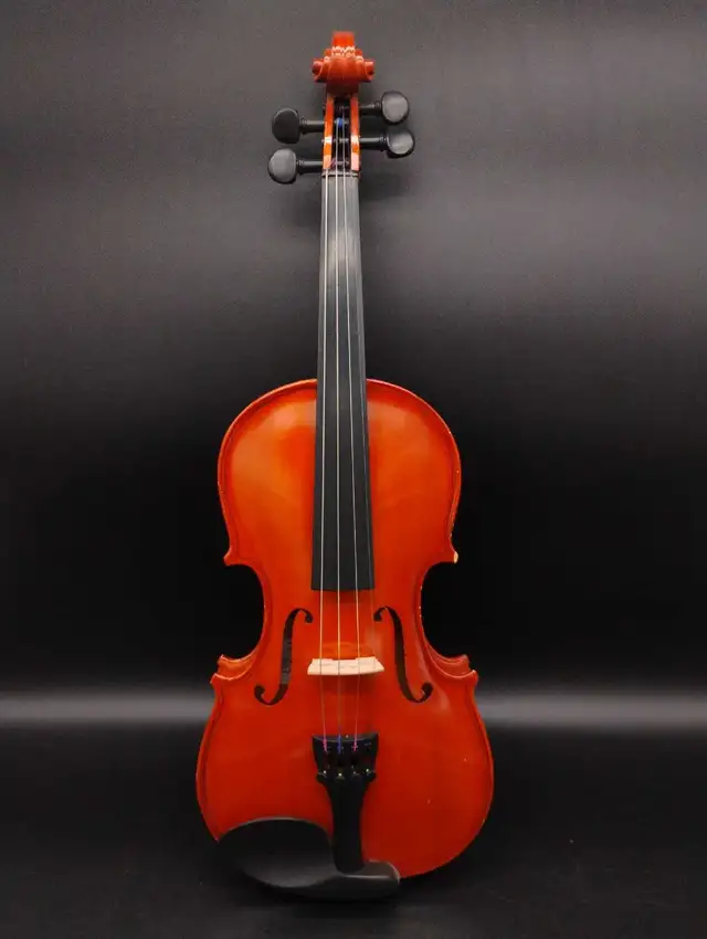 1/2 Size Violin