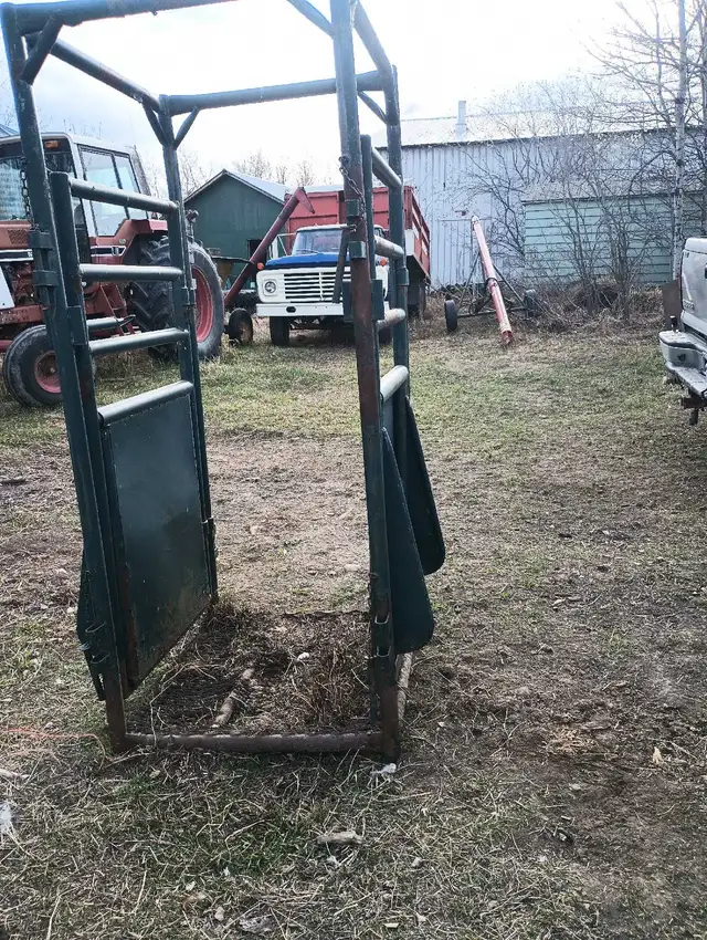Hi Hog Cattle Squeeze Chute - Photo 2