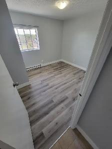 3 Bedroom Apartment Available in Minnow Lake Area - Photo 5