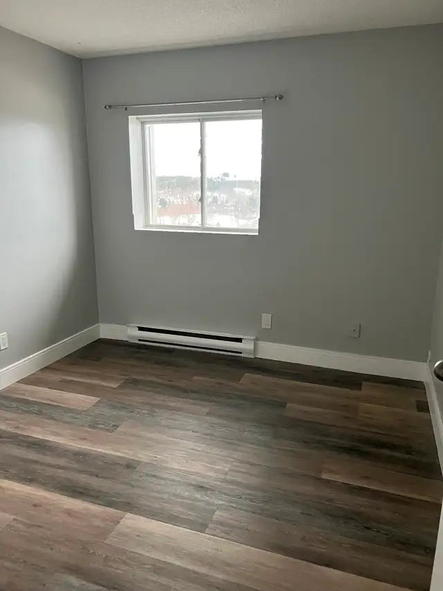 3 Bedroom Apartment Available in Minnow Lake Area - Photo 10