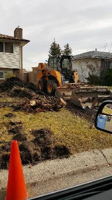 Best Local Cleaning Hero - Photo 9