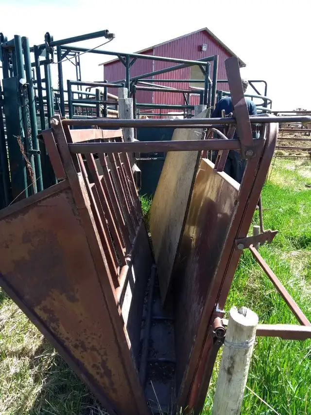 Calf Chute - Photo 3