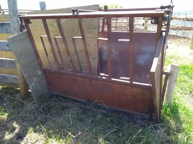 Calf Chute - Photo 4