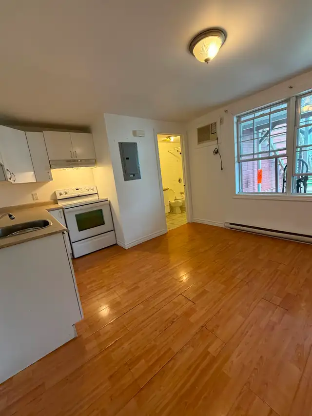 Beautiful 1-Bedroom Apartment for Rent – Main Floor - Photo 6
