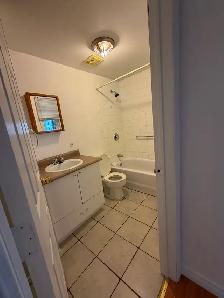 Beautiful 1-Bedroom Apartment for Rent – Main Floor - Photo 8