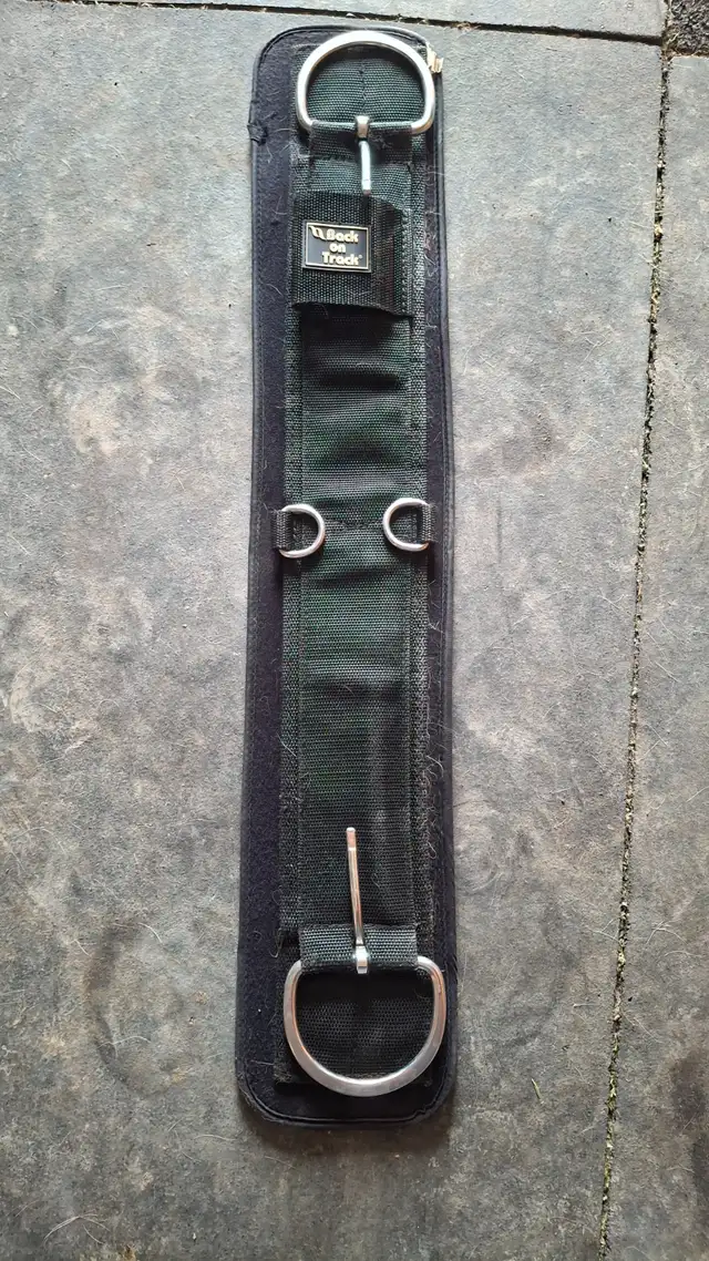 Back on Track Cinch /Weaver Smart Roller Cinch