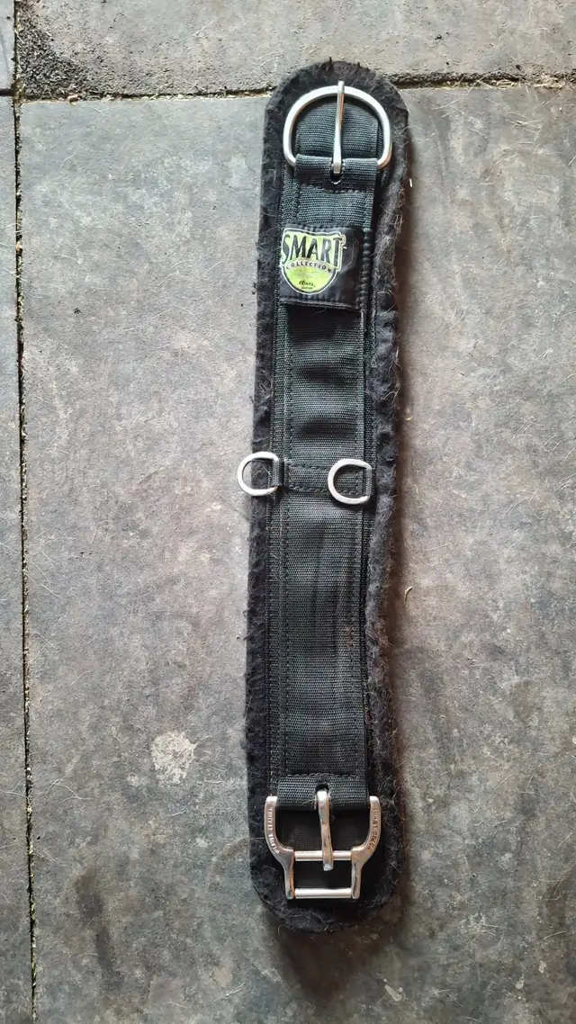 Back on Track Cinch /Weaver Smart Roller Cinch - Photo 3