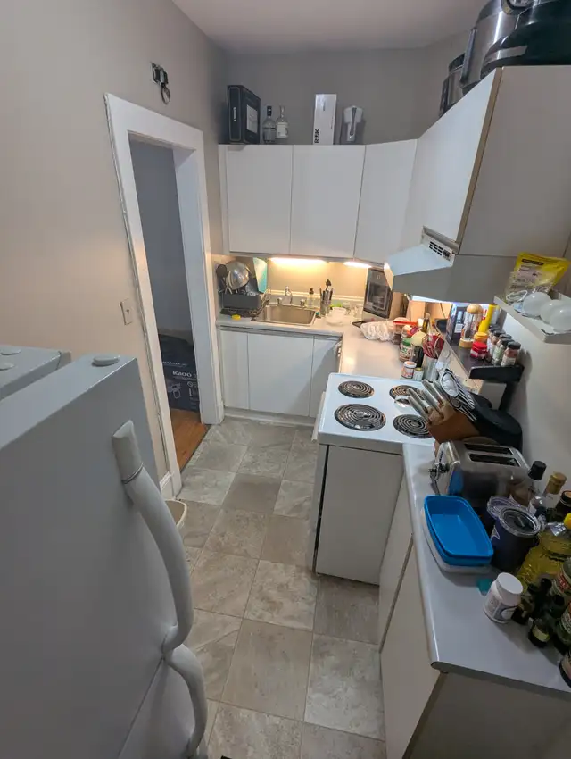 Very large 2-bedroom in Centretown: June 1 or July 1 - Photo 5