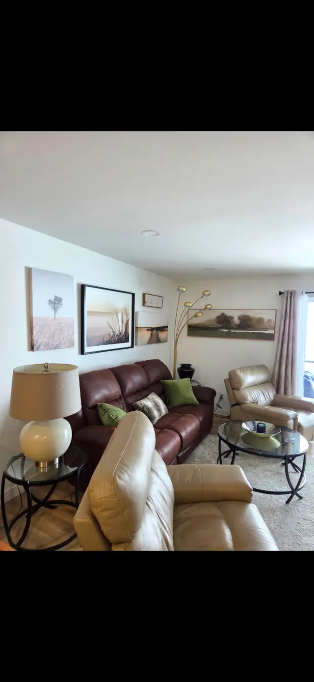 Full Leather Electric Recliners