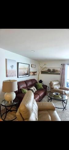 Full Leather Electric Recliners
