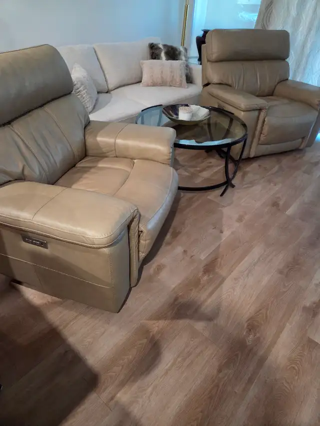 Full Leather Electric Recliners - Photo 4