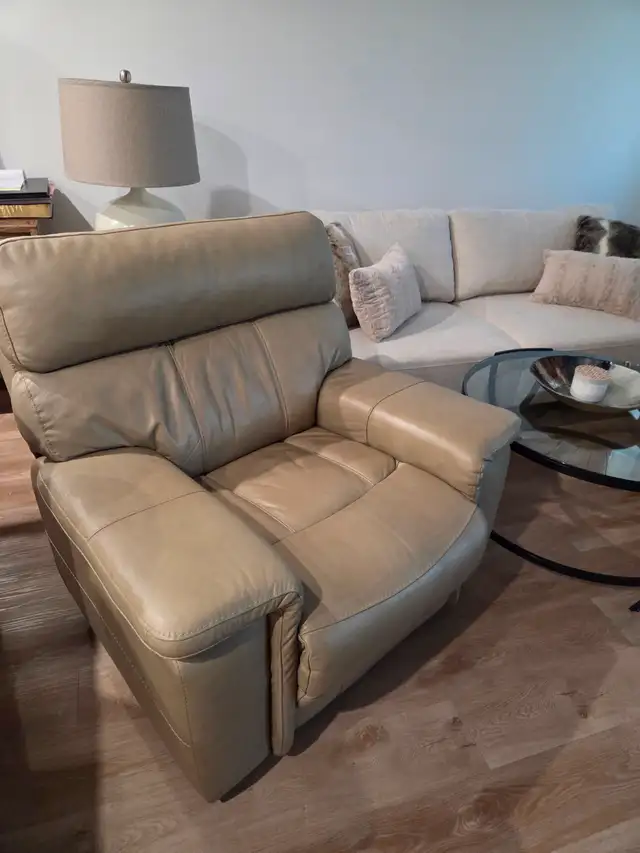 Full Leather Electric Recliners - Photo 5