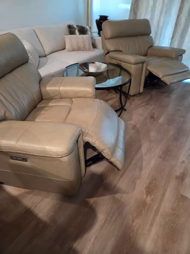 Full Leather Electric Recliners - Photo 6