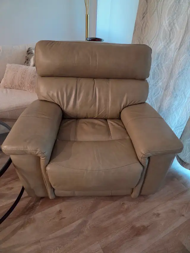 Full Leather Electric Recliners - Photo 7