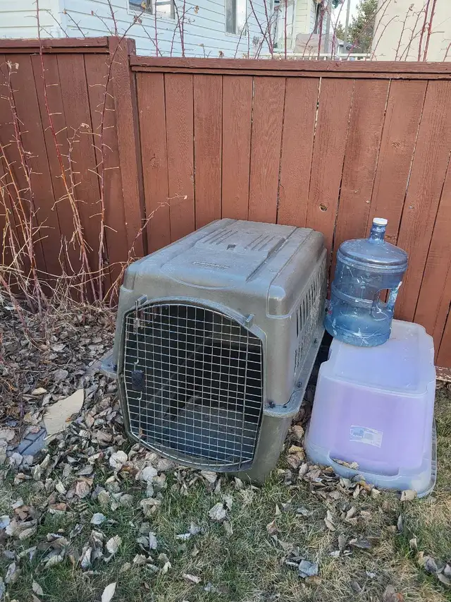 large dog kennel