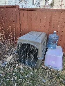 large dog kennel
