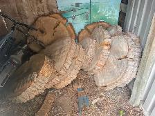 Oak slabs For Coffee Tables, End Tables, Decorative Furniture - Photo 2
