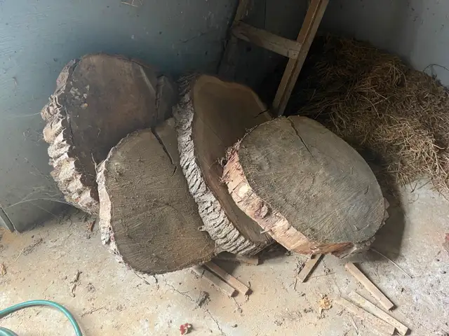 Oak slabs For Coffee Tables, End Tables, Decorative Furniture - Photo 3