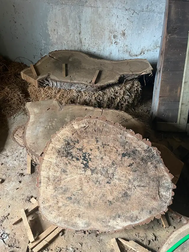 Oak slabs For Coffee Tables, End Tables, Decorative Furniture - Photo 4
