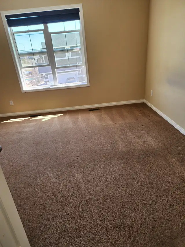 Moving in or Out Need Help? - Photo 6