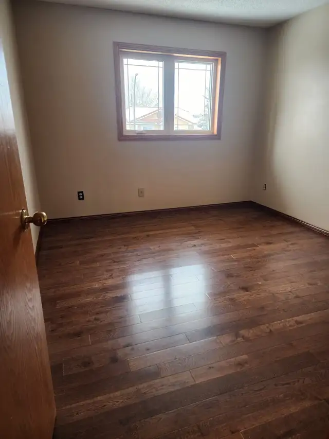 Moving in or Out Need Help? - Photo 8