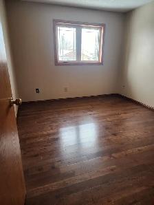 Moving in or Out Need Help? - Photo 8