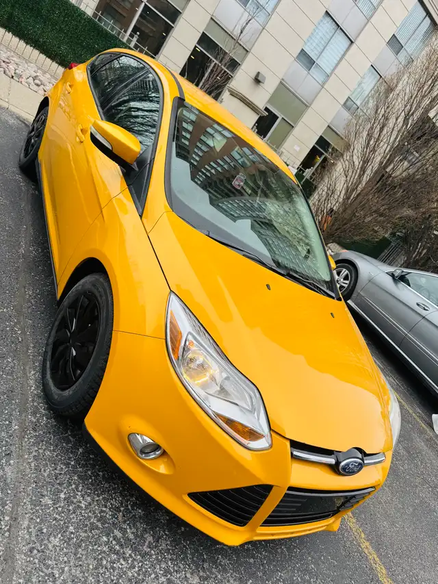 2012 Ford Focus Sport ( LOW KM ) - Photo 9