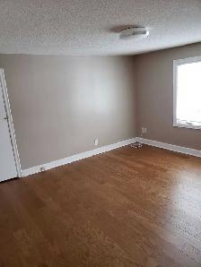 2 bedroom apartment - Photo 5