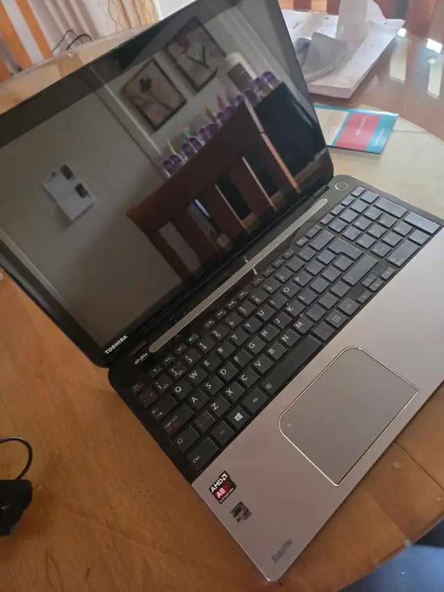 Toshiba satellite portable Windows 10
