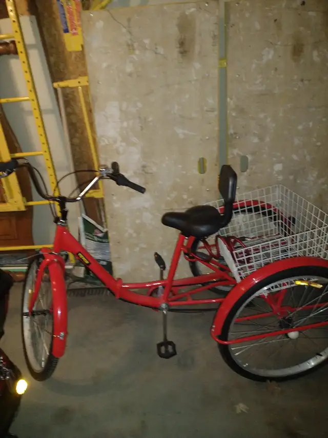 3 WHEEL BIKE Vevor