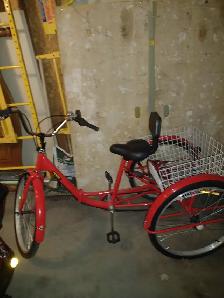 3 WHEEL BIKE Vevor