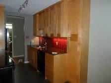 Downtown Highrise Apartment Condo