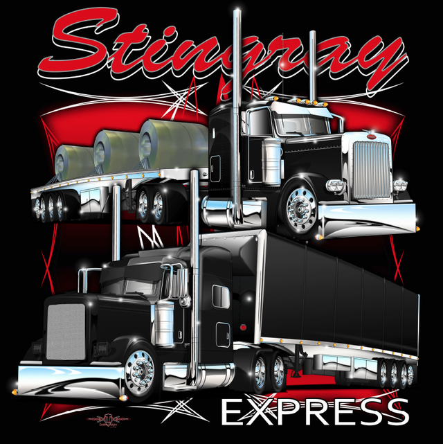 Class 1 Drivers & Owner Operators - Stingray Express Inc.