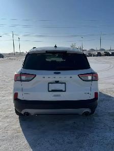 2020 Ford Escape SEL - Photo 7