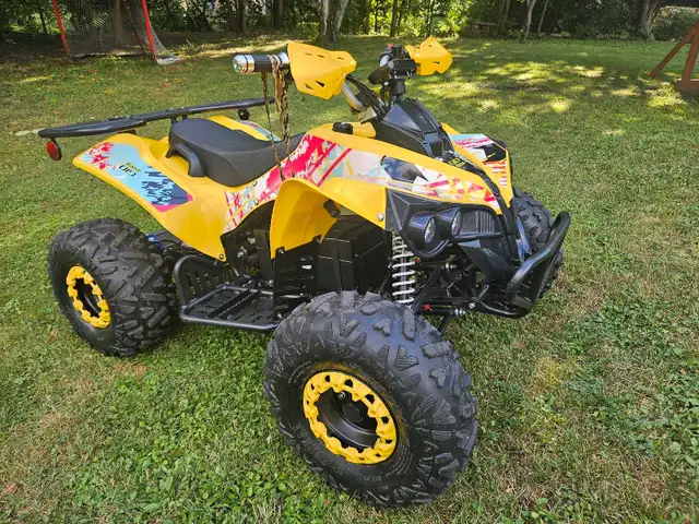 VTT ÉLECTRIQUE 60V COMME NEUF A VENDRE