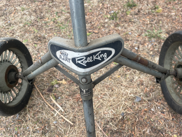 2 Wheel Golf Carts - Photo 3