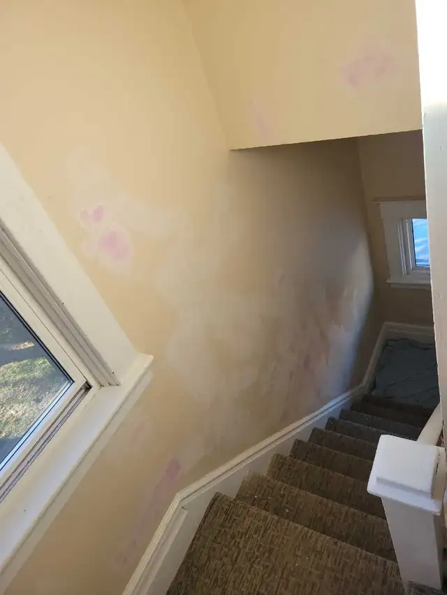 painting - Photo 2