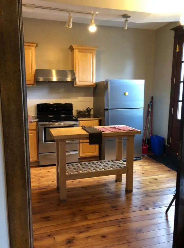 Downtown Shared Furnished 2 Bedroom (Heat&Water incl) - Photo 5