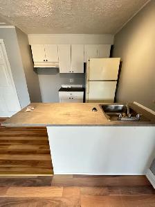 1 Bedroom Apartment for Rent - Photo 2