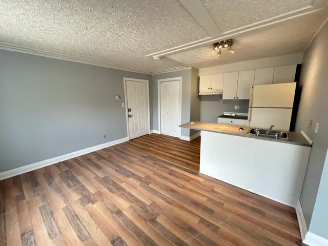 1 Bedroom Apartment for Rent - Photo 3