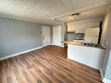 1 Bedroom Apartment for Rent - Photo 3