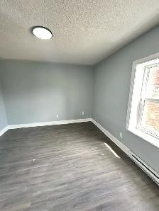 1 Bedroom Apartment for Rent - Photo 5