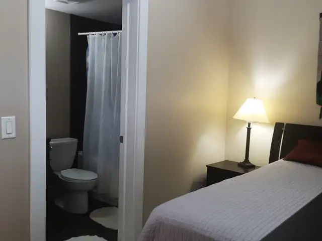 Spacious Bachelor Suite is available - Photo 3
