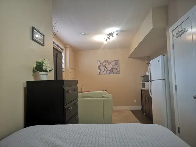 Spacious Bachelor Suite is available - Photo 4