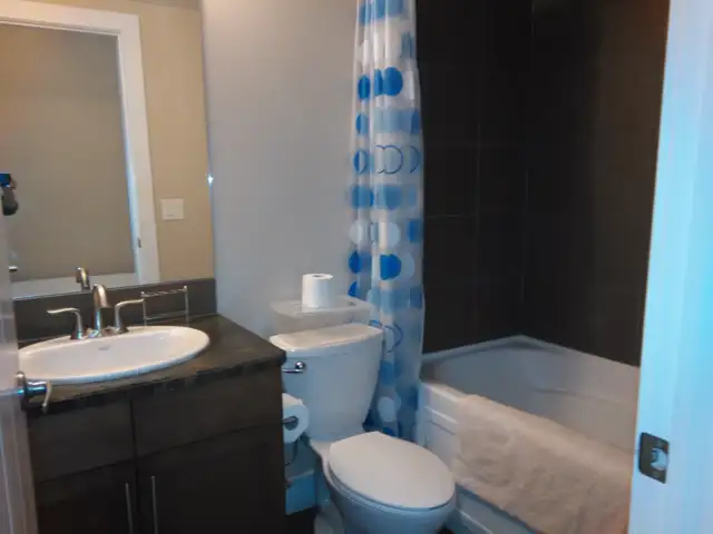 Spacious Bachelor Suite is available - Photo 5