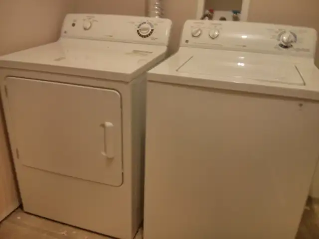 Spacious Bachelor Suite is available - Photo 9