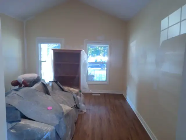 professional painter - Photo 7