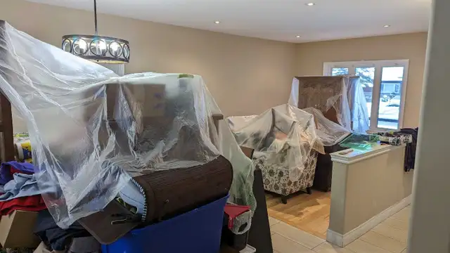 professional painter - Photo 9